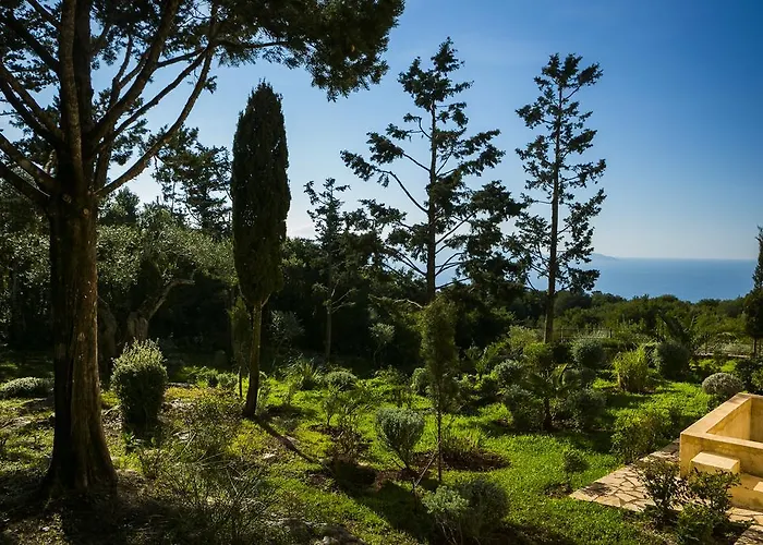 Alkyoni * 费斯卡尔德宏